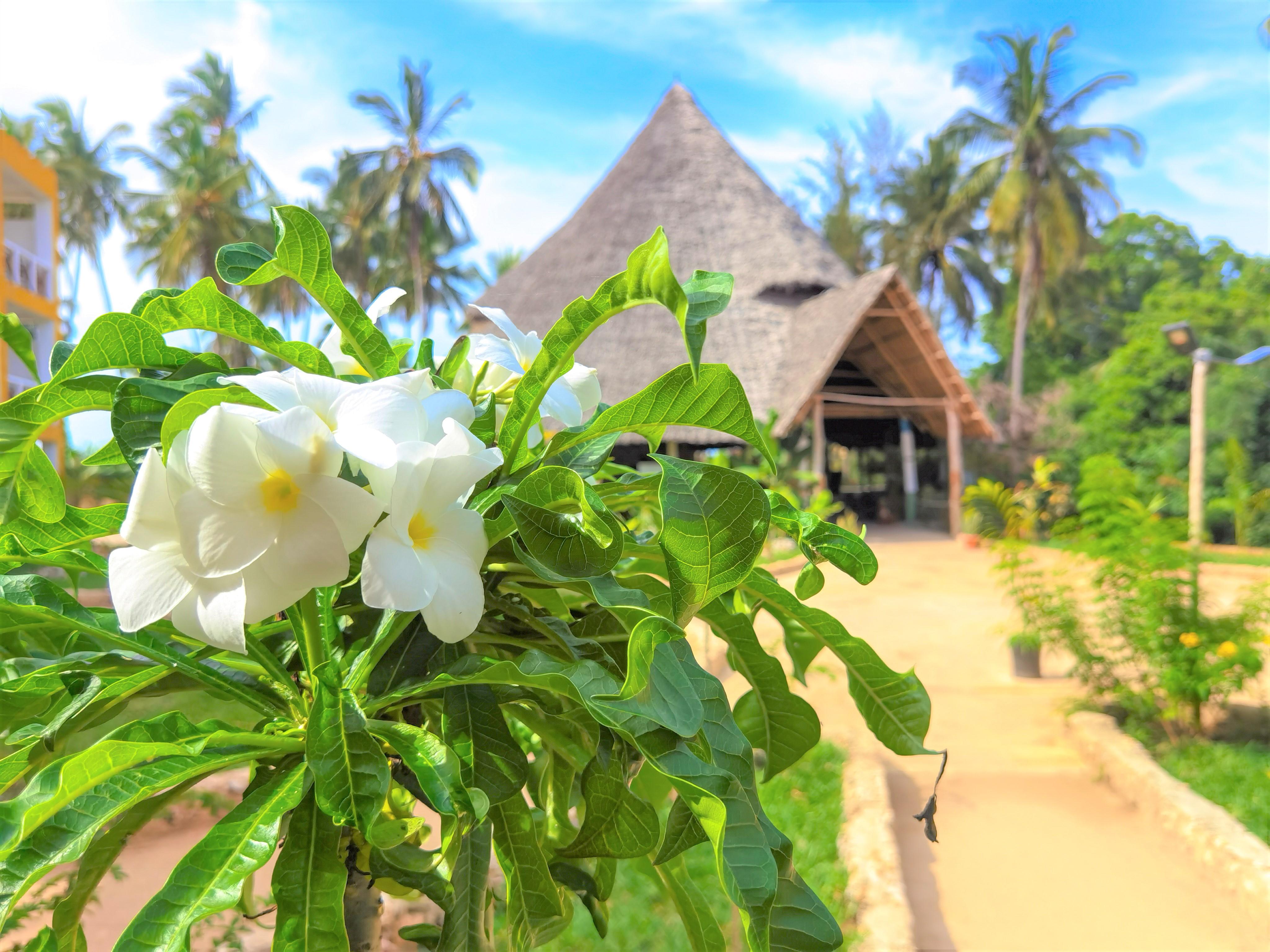 Reef & Beach Resort - Spa Jambiani Exterior photo